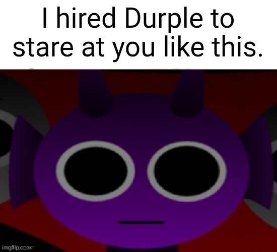 Don't worry I pay him for his job. ? | I hired Durple to stare at you like this. | image tagged in durple stare at you without text,funny memes | made w/ Imgflip meme maker