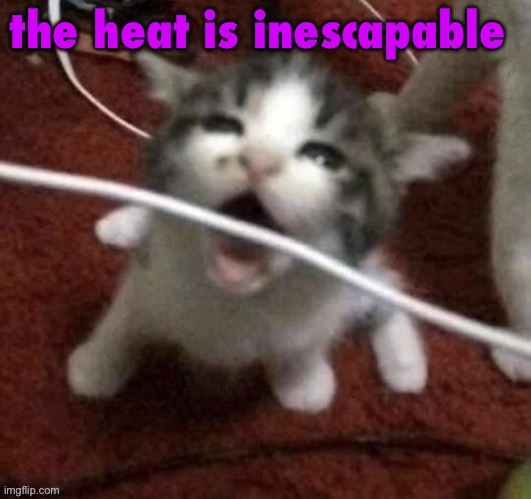 burning up over here | the heat is inescapable | image tagged in i love eating cables | made w/ Imgflip meme maker