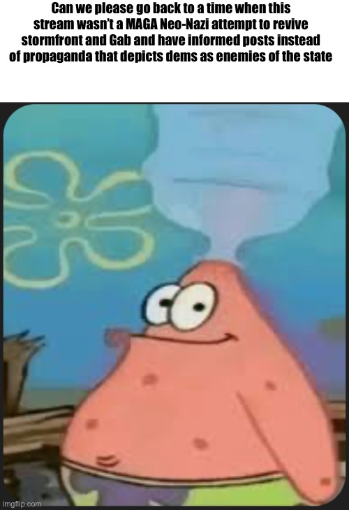 This stream deadass fr | Can we please go back to a time when this stream wasn’t a MAGA Neo-Nazi attempt to revive stormfront and Gab and have informed posts instead of propaganda that depicts dems as enemies of the state | image tagged in patrick star are we deadass | made w/ Imgflip meme maker