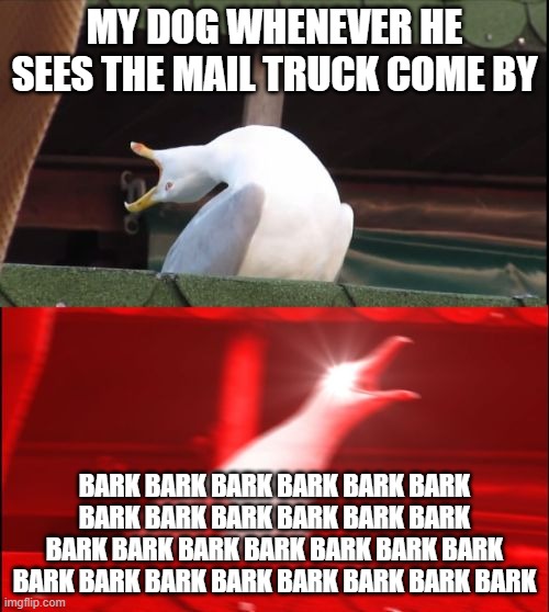 My dog whenever the mail truck comes by | MY DOG WHENEVER HE SEES THE MAIL TRUCK COME BY; BARK BARK BARK BARK BARK BARK BARK BARK BARK BARK BARK BARK BARK BARK BARK BARK BARK BARK BARK BARK BARK BARK BARK BARK BARK BARK BARK | image tagged in screaming seagull | made w/ Imgflip meme maker