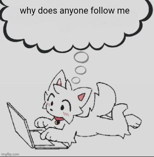 huh??? guh??? hwuh??? | why does anyone follow me | image tagged in huh guh hwuh | made w/ Imgflip meme maker