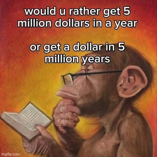Monke | image tagged in monke | made w/ Imgflip meme maker
