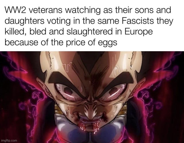 Dragon Ball Anti-Nazi | image tagged in dragon ball,anime,anti nazi,ww2 | made w/ Imgflip meme maker