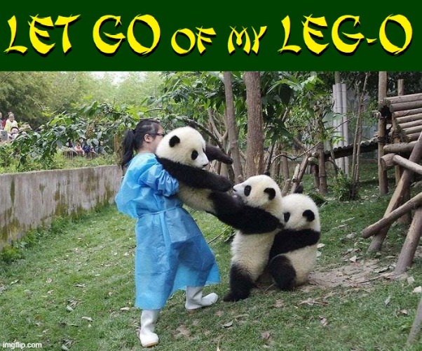 Panda-Monium | image tagged in vince vance,pandas,let go,lego,chinese,memes | made w/ Imgflip meme maker