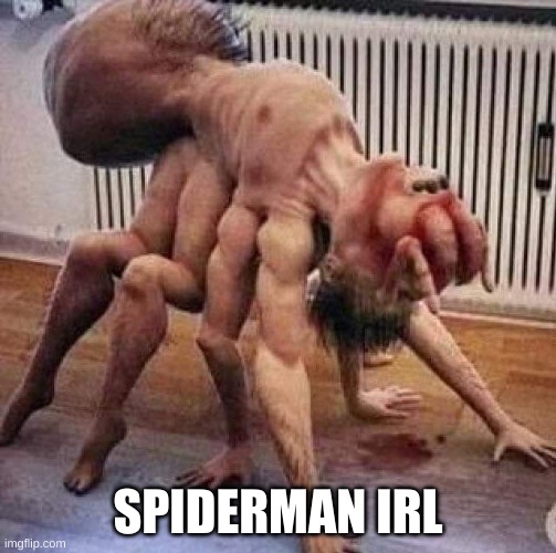 spidyman | SPIDERMAN IRL | image tagged in cursed image | made w/ Imgflip meme maker
