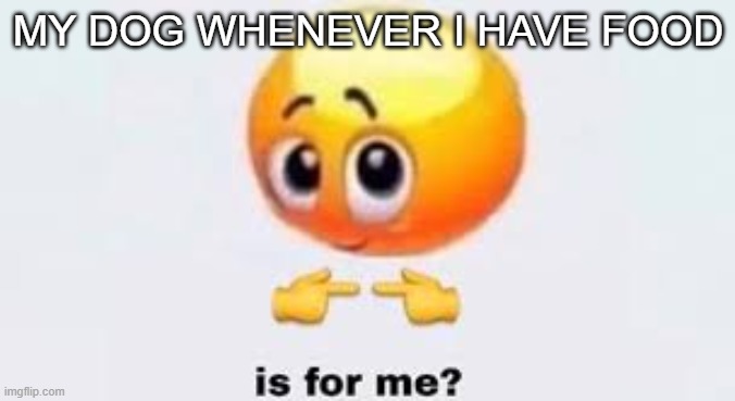 Is for me | MY DOG WHENEVER I HAVE FOOD | image tagged in is for me | made w/ Imgflip meme maker