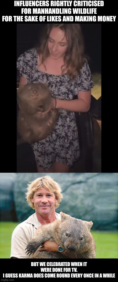 End all "influencers" they are the shit of present day society | INFLUENCERS RIGHTLY CRITICISED FOR MANHANDLING WILDLIFE FOR THE SAKE OF LIKES AND MAKING MONEY; BUT WE CELEBRATED WHEN IT WERE DONE FOR TV.
I GUESS KARMA DOES COME ROUND EVERY ONCE IN A WHILE | image tagged in steve irwin with a wombat | made w/ Imgflip meme maker