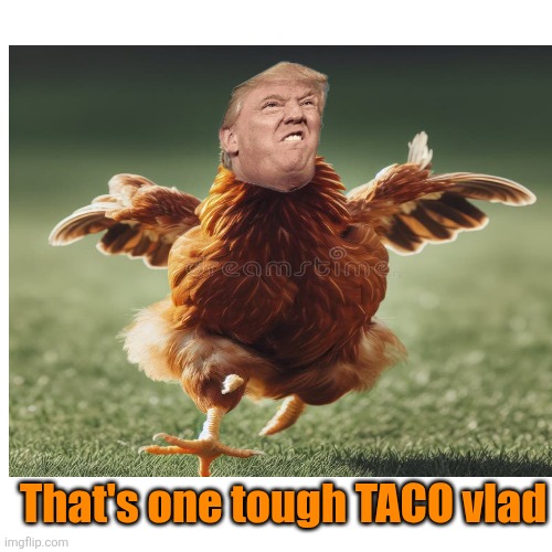 Blank Transparent Square Meme | That's one tough TACO vlad | image tagged in memes,blank transparent square | made w/ Imgflip meme maker