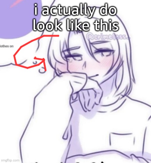 Smug look | i actually do look like this | image tagged in smug look | made w/ Imgflip meme maker