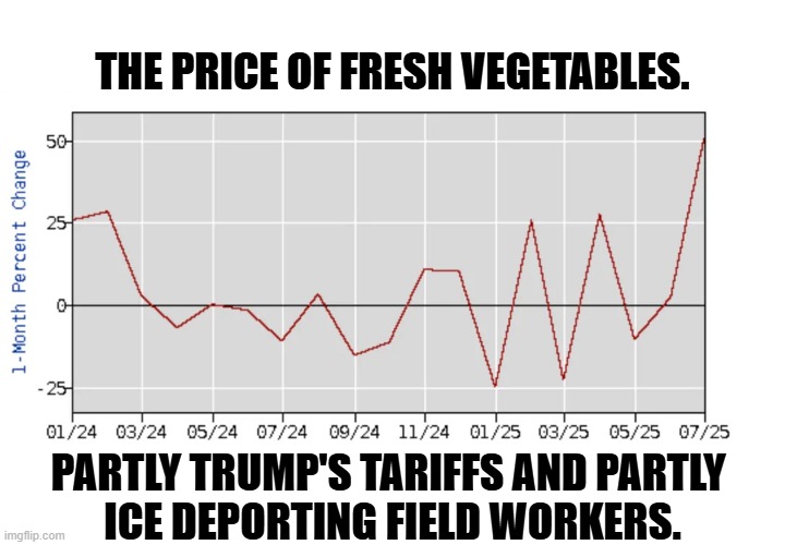 THE PRICE OF FRESH VEGETABLES. PARTLY TRUMP'S TARIFFS AND PARTLY 
ICE DEPORTING FIELD WORKERS. | image tagged in trump,cost of living,inflation,food,vegetables,deportation | made w/ Imgflip meme maker