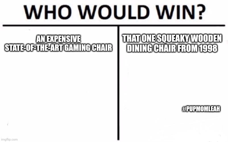 Who would win ? | AN EXPENSIVE STATE-OF-THE-ART GAMING CHAIR; THAT ONE SQUEAKY WOODEN DINING CHAIR FROM 1998; #PUPMOMLEAH | image tagged in memes,who would win,funny | made w/ Imgflip meme maker