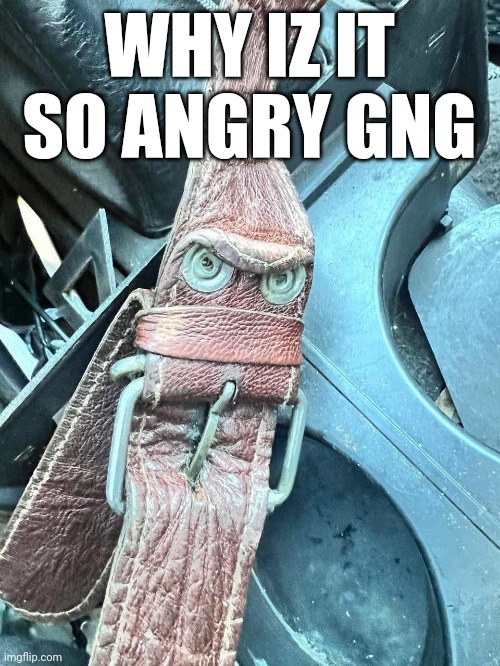 WHY IZ IT SO ANGRY GNG | made w/ Imgflip meme maker