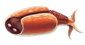 Extinct animal Blank Meme Template