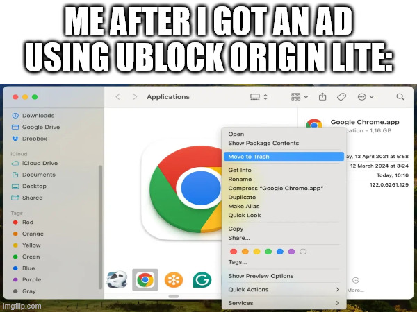 Removing Chrome | ME AFTER I GOT AN AD USING UBLOCK ORIGIN LITE: | image tagged in funny memes | made w/ Imgflip meme maker
