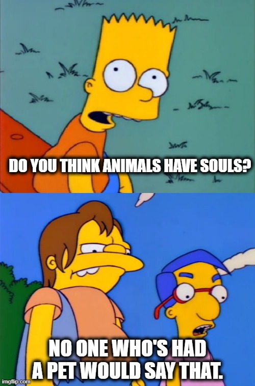 of course they do, some are even better than humans | DO YOU THINK ANIMALS HAVE SOULS? NO ONE WHO'S HAD A PET WOULD SAY THAT. | image tagged in no one who had seen the movie would say that template,the simpsons,souls,pets | made w/ Imgflip meme maker