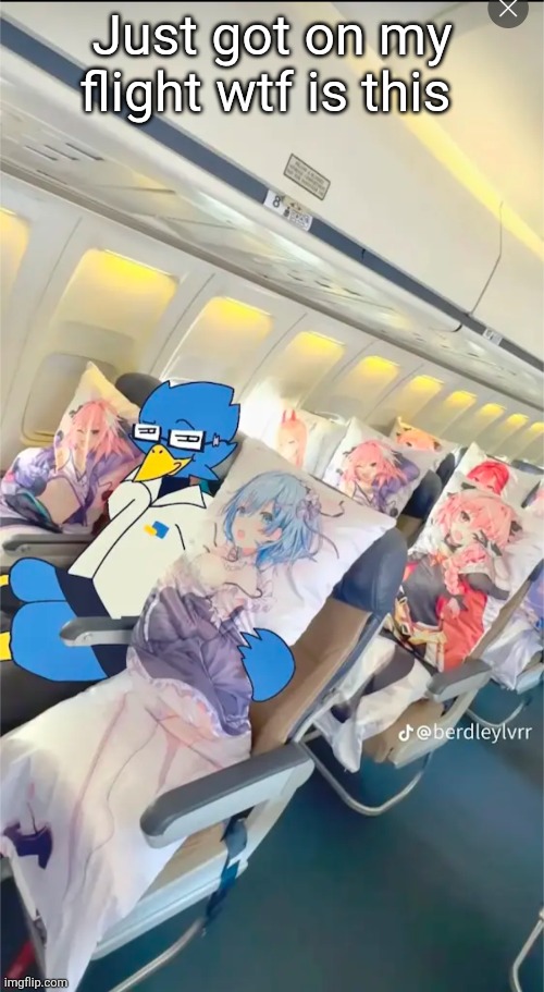 Just got on my flight wtf is this | made w/ Imgflip meme maker