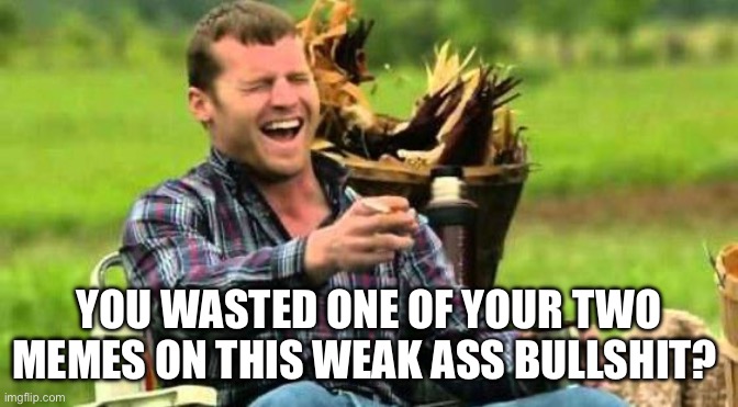 YOU WASTED ONE OF YOUR TWO MEMES ON THIS WEAK ASS BULLSHIT? | image tagged in fake laugh | made w/ Imgflip meme maker