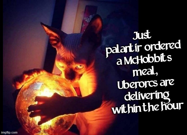 Mchobbits | Just palantir ordered a McHobbits meal, Uberorcs are delivering within the hour | image tagged in cat,palantir,lotr | made w/ Imgflip meme maker