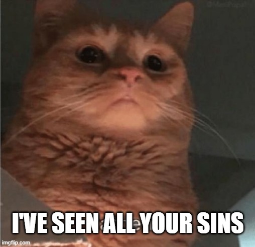 Witness | I'VE SEEN ALL YOUR SINS | image tagged in cats | made w/ Imgflip meme maker