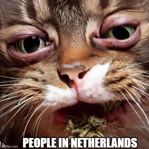 Stoned | PEOPLE IN NETHERLANDS | image tagged in stoned | made w/ Imgflip meme maker