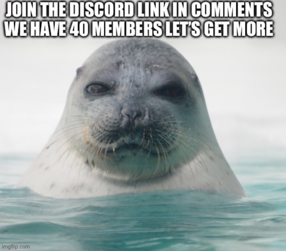 Link in comments | made w/ Imgflip meme maker