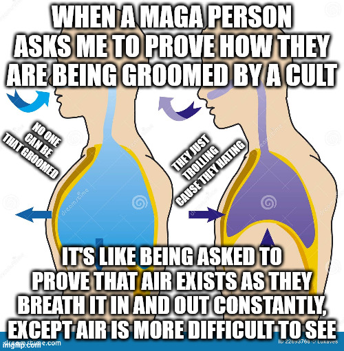 Just take a deep breath, you got this | WHEN A MAGA PERSON ASKS ME TO PROVE HOW THEY ARE BEING GROOMED BY A CULT; NO ONE CAN BE THAT GROOMED; THEY JUST TROLLING CAUSE THEY HATING; IT'S LIKE BEING ASKED TO PROVE THAT AIR EXISTS AS THEY BREATH IT IN AND OUT CONSTANTLY, EXCEPT AIR IS MORE DIFFICULT TO SEE | image tagged in maga,donald trump | made w/ Imgflip meme maker