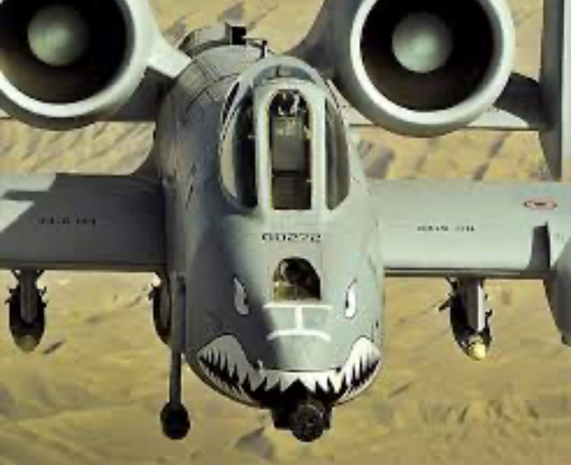 Warthog Blank Meme Template