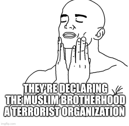 Soothing face rub | THEY'RE DECLARING THE MUSLIM BROTHERHOOD A TERRORIST ORGANIZATION | image tagged in soothing face rub,funny memes | made w/ Imgflip meme maker