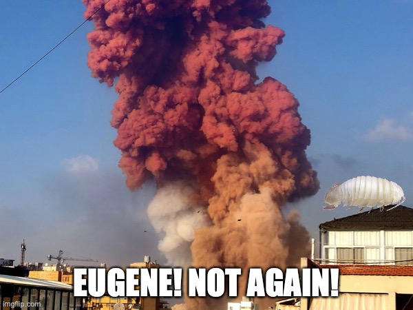 meme from r/thomastheplankengine | EUGENE! NOT AGAIN! | image tagged in memes | made w/ Imgflip meme maker