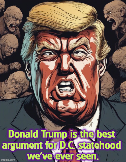 The National Guard is picking up garbage and raking leaves in D.C., at a million dollars a day. | Donald Trump is the best 
argument for D.C. statehood 
we've ever seen. | image tagged in washington dc,trump,fascist,dictator,police state | made w/ Imgflip meme maker