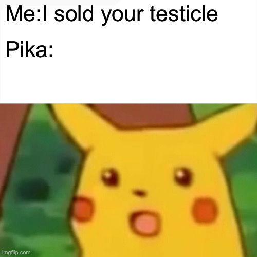 Surprised Pikachu | Me:I sold your testicle; Pika: | image tagged in memes,surprised pikachu | made w/ Imgflip meme maker