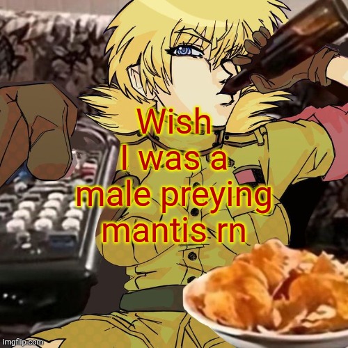 Millie's Seras Victoria Hellsing Ultimate Announcement template | Wish I was a male preying mantis rn | image tagged in millie's seras victoria hellsing ultimate announcement template | made w/ Imgflip meme maker