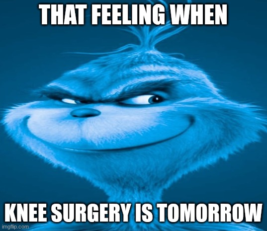Blue Grinch | THAT FEELING WHEN; KNEE SURGERY IS TOMORROW | image tagged in blue grinch | made w/ Imgflip meme maker
