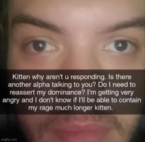 image tagged in kitten,weird stuff,memes,shitpost | made w/ Imgflip meme maker