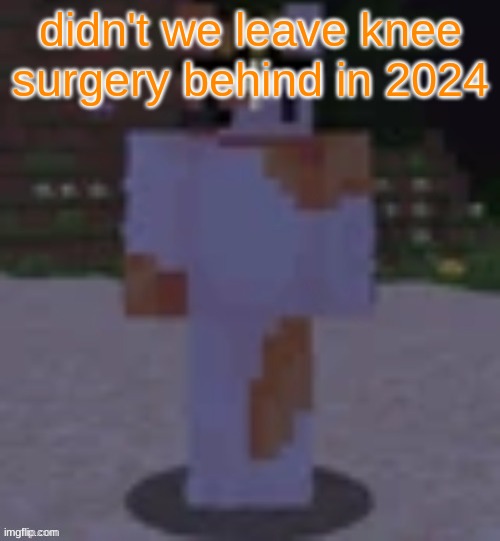 Nox | didn't we leave knee surgery behind in 2024 | image tagged in nox | made w/ Imgflip meme maker