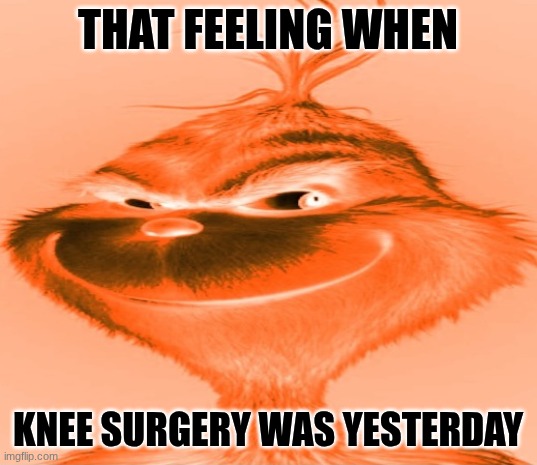 Blue Grinch | THAT FEELING WHEN; KNEE SURGERY WAS YESTERDAY | image tagged in blue grinch | made w/ Imgflip meme maker