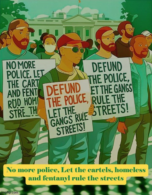 Why......why....do these protesters think its humane to allow homeless and crime to rule the streets? | image tagged in defund the police,trump | made w/ Imgflip meme maker