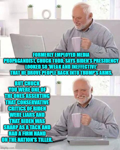It's sad when leftist political propagandists toss the Dem's leadership under the bus to cover themselves. | FORMERLY EMPLOYED MEDIA PROPAGANDIST, CHUCK TODD, SAYS BIDEN’S PRESIDENCY LOOKED SO ‘WEAK AND INEFFECTIVE’ THAT HE DROVE PEOPLE BACK INTO TRUMP’S ARMS. BUT CHUCK YOU WERE ONE OF THE ONES ASSERTING THAT CONSERVATIVE CRITICS OF BIDEN WERE LIARS AND THAT BIDEN WAS SHARP AS A TACK AND HAD A FIRM HAND ON THE NATION'S TILLER. | image tagged in hide the pain harold | made w/ Imgflip meme maker