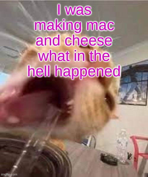 Silly | I was making mac and cheese what in the hell happened | image tagged in silly | made w/ Imgflip meme maker
