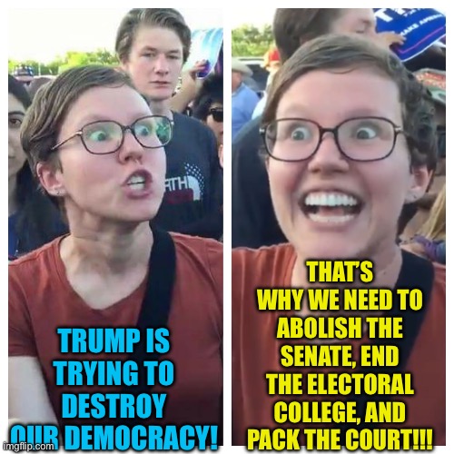 Social Justice Warrior Hypocrisy | TRUMP IS TRYING TO DESTROY OUR DEMOCRACY! THAT’S WHY WE NEED TO ABOLISH THE SENATE, END THE ELECTORAL COLLEGE, AND PACK THE COURT!!! | image tagged in social justice warrior hypocrisy | made w/ Imgflip meme maker