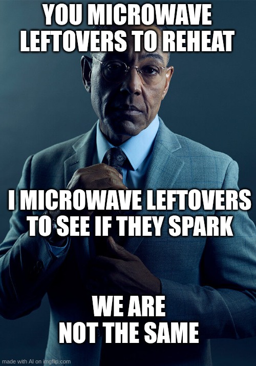 Not the same | YOU MICROWAVE LEFTOVERS TO REHEAT; I MICROWAVE LEFTOVERS TO SEE IF THEY SPARK; WE ARE NOT THE SAME | image tagged in gus fring we are not the same | made w/ Imgflip meme maker