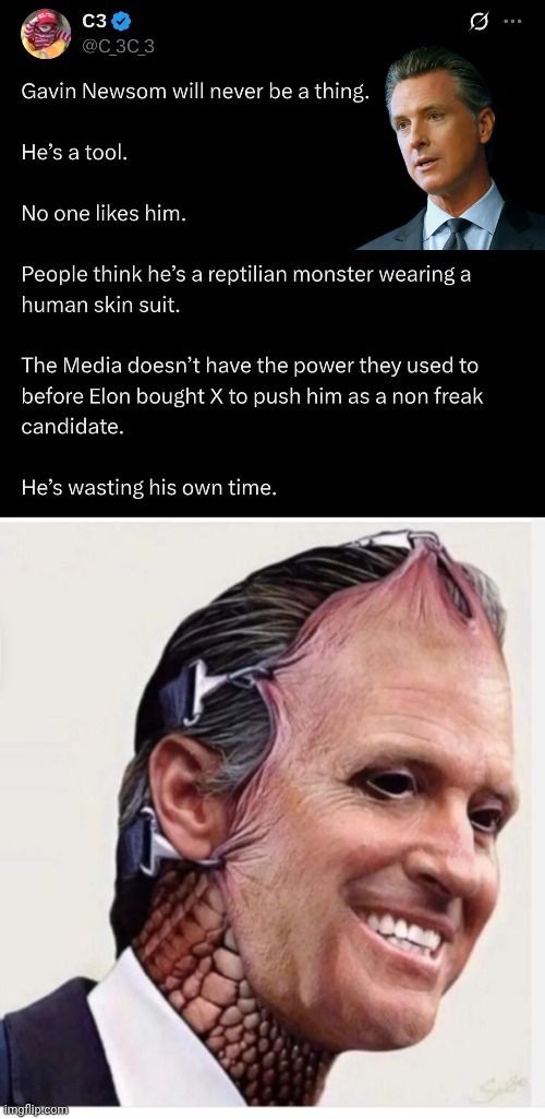 Gavin Newsom is a lizard man | image tagged in gavin newsom reptillion,president,race | made w/ Imgflip meme maker