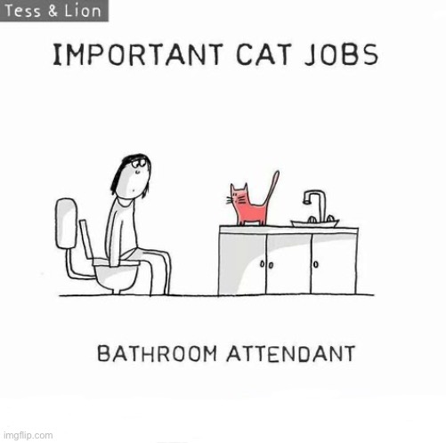 They wonder why you’re not using a litter box like they are… | image tagged in cats,comics/cartoons,tess and lion,cat jobs,bathroom attendant | made w/ Imgflip meme maker