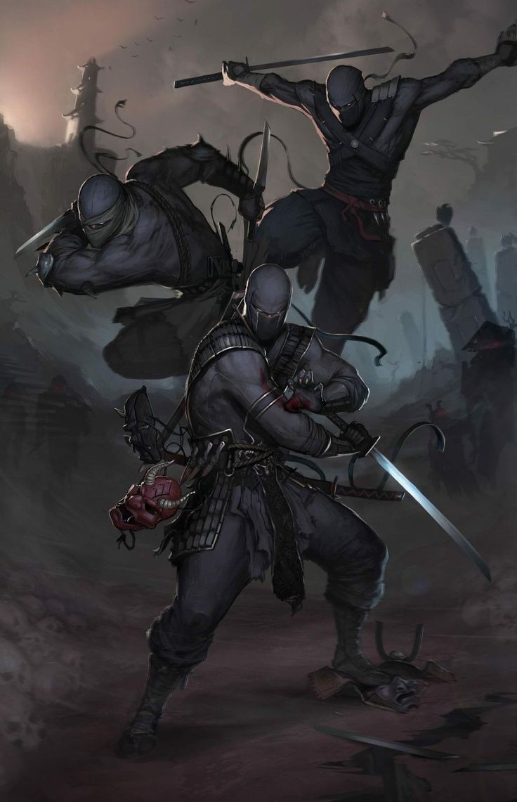 Ninja fighters Blank Meme Template