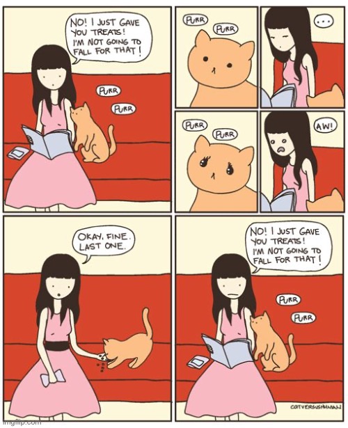 Cat Versus Human | image tagged in cats,comics,cat versus human,begging,cat treats | made w/ Imgflip meme maker