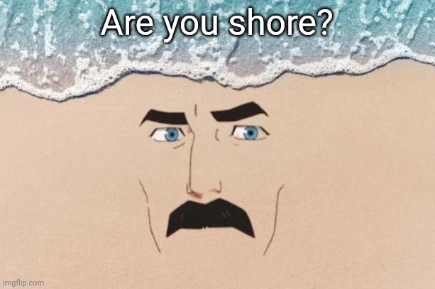 Lifez a beach. | Are you shore? | image tagged in are you shore | made w/ Imgflip meme maker