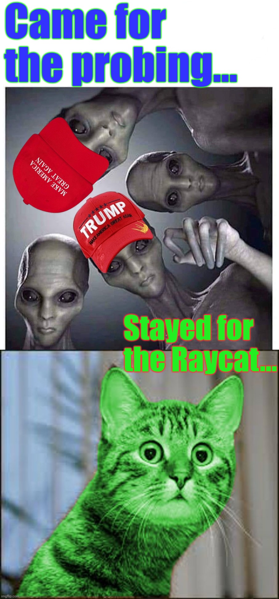 Came for the probing... Stayed for the Raycat... | image tagged in trump aliens,raycat wtf | made w/ Imgflip meme maker