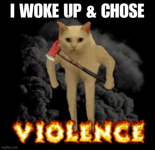 Violence | image tagged in cats,funny cat memes,wake up,violence,axe,killer | made w/ Imgflip meme maker