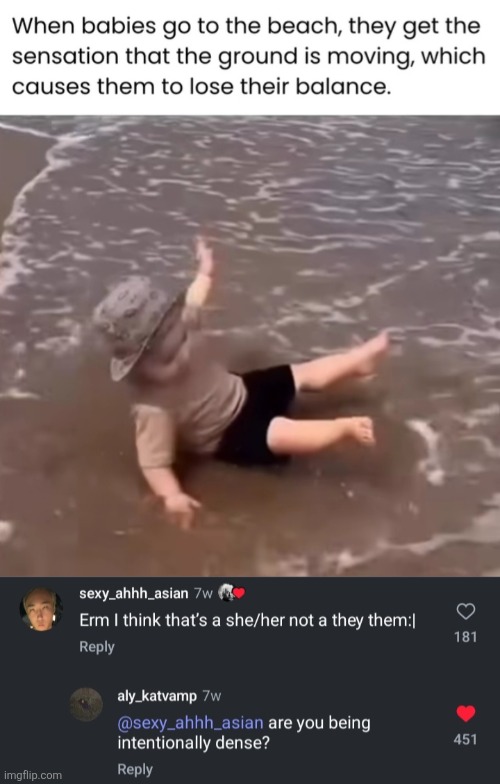 instagram comment section strikes again | made w/ Imgflip meme maker