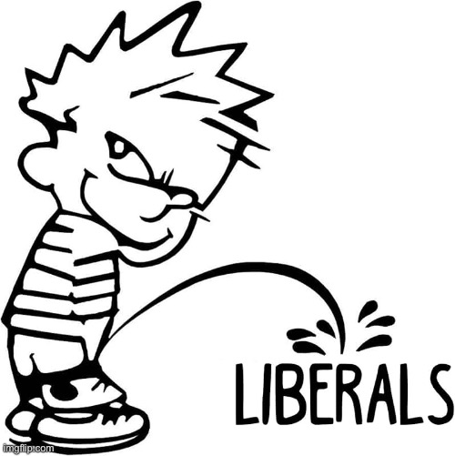 Pissed On | image tagged in liberal privilege,libtards,piss,cartoon,drawing,pee | made w/ Imgflip meme maker